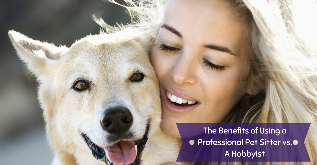 professional pet sitter