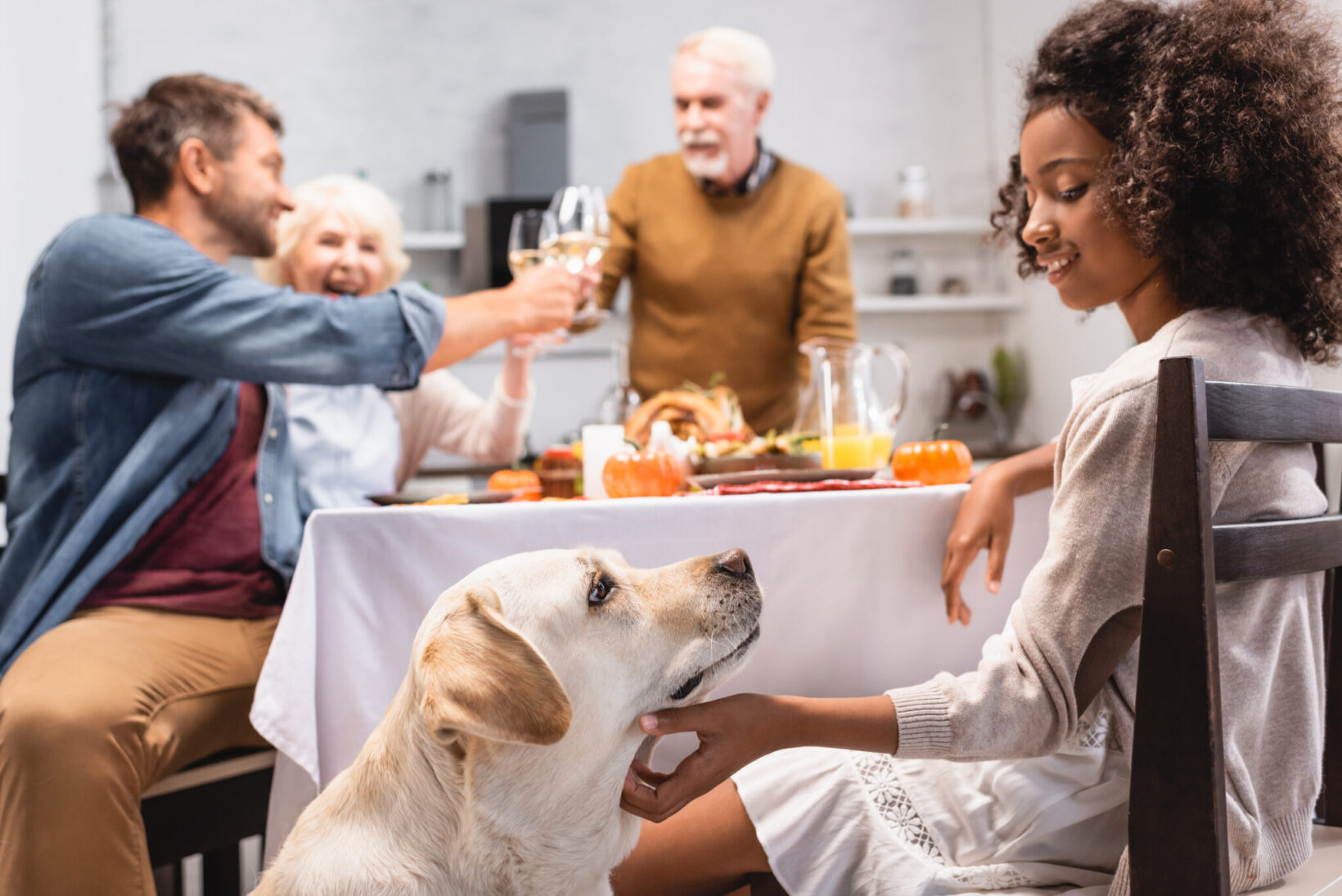 thanksgiving safety tips for pets