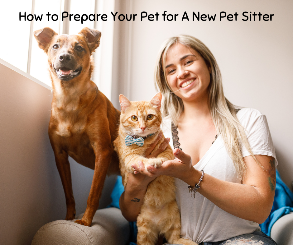 prepare for new pet sitter