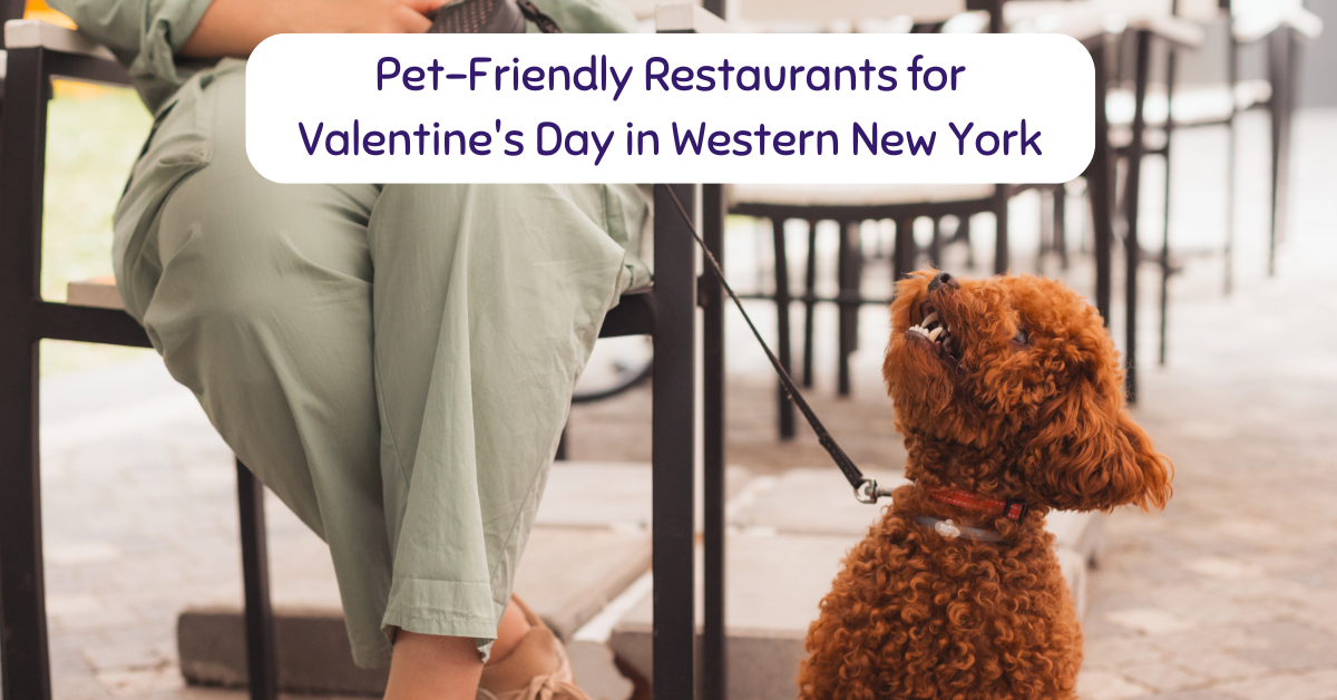 pet friendly restaurants in WNY