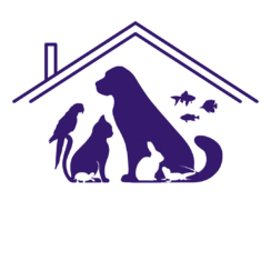 Comfort Zone Critter Care