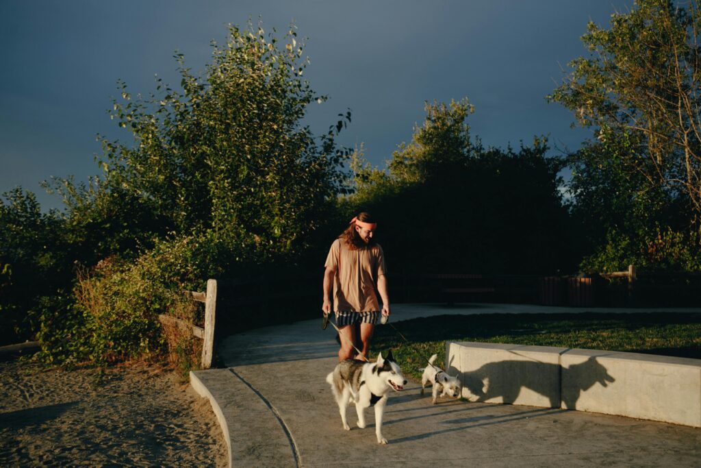summer safety tips for dogs