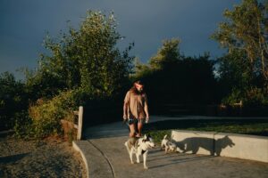 summer safety tips for dogs