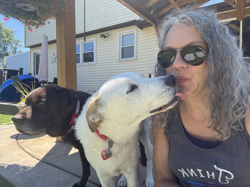 benefits of hiring a pet sitter for your dog