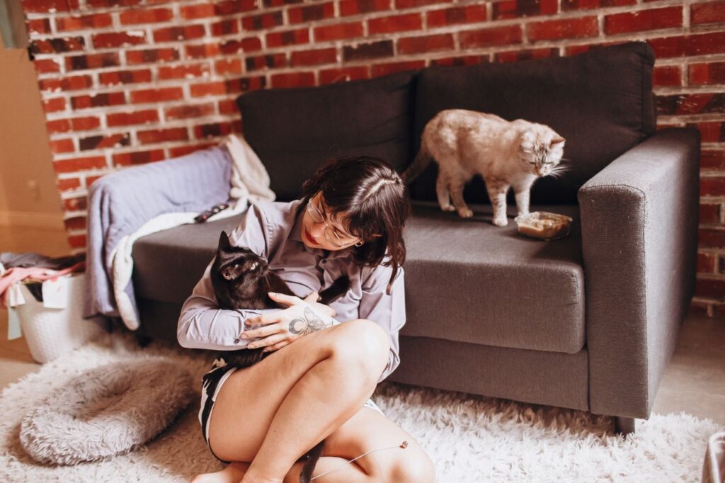 Pet Sitting vs Boarding: Which Is Best for Your Pet? pet sitting vs boarding for pets