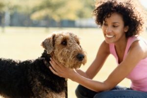 common dog walking and pet sitting myths
