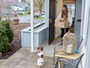 Home security during pet sitting visits in Lancaster NY